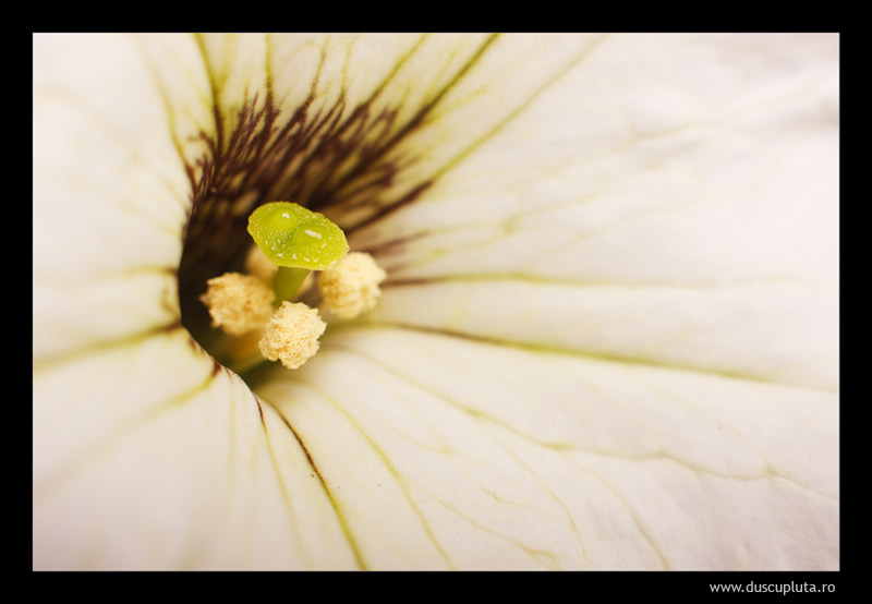 img_8855web