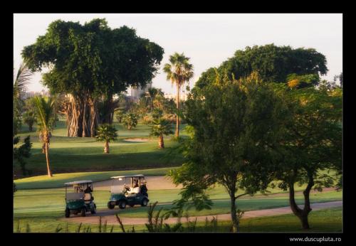 terenul de golf