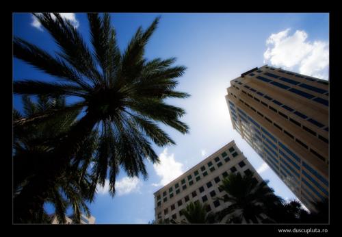 new orleans