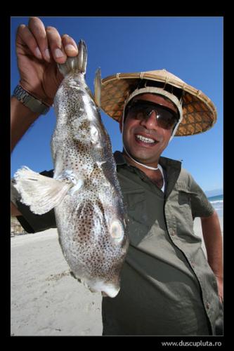 fish